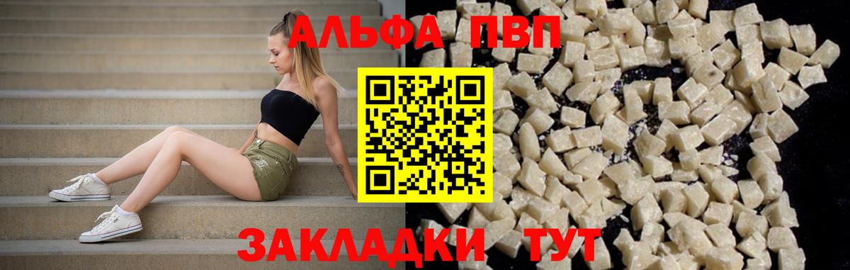 Альфа ПВП СК Аргун