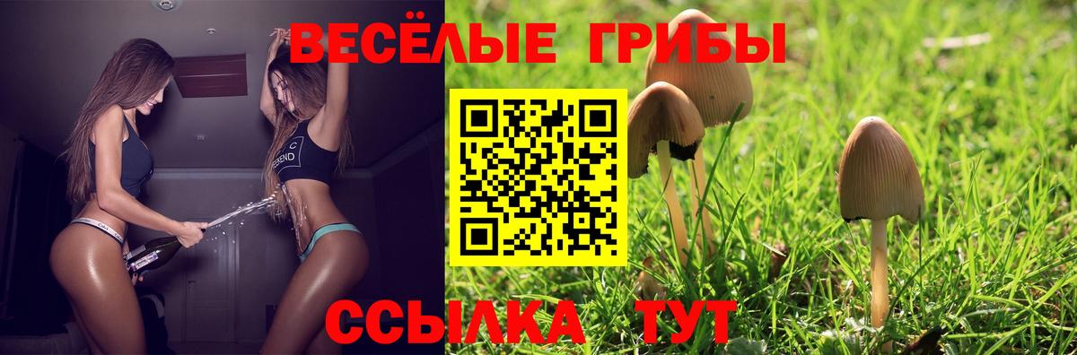 Галлюциногенные грибы Magic Shrooms  Вход с VPN  Аргун  где найти   Галлюциногенные грибы Psilocybe 